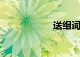 送组词组（送组词）