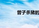 曾子杀猪的寓意（寓意介绍）
