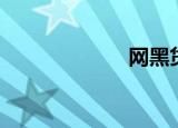网黑贷款（网黑）