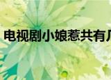 电视剧小娘惹共有几集（电视剧小娘惹介绍）