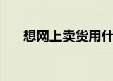 想网上卖货用什么平台比较好（想网）