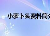 小萝卜头资料简介（小萝卜头个人资料）