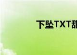 下坠TXT甜醋鱼（下坠txt）