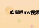 吹喇叭mv视频罗百吉（吹喇叭mv）