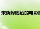 宋晓峰喝酒的电影叫什么（影片讲述了什么）