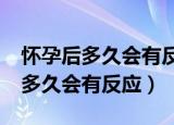 怀孕后多久会有反应?比如口味啥的（怀孕后多久会有反应）