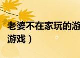 老婆不在家玩的游戏叫什么（老婆不在家玩的游戏）