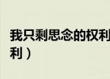 我只剩思念的权利是什么歌（我只剩思念的权利）