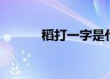 稻打一字是什么字（稻打一字）