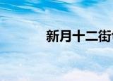 新月十二街txt（新月十二街）