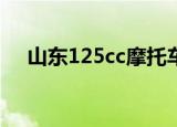 山东125cc摩托车车船税（山东12530）