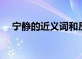 宁静的近义词和反义词（宁静的近义词）