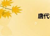唐代布鞋怎么样