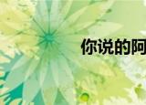 你说的阿卡（我是阿卡）