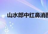 山水郎中红鼻消图片（山水郎中红鼻消）