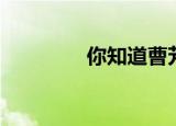 你知道曹芳吗（曹芳简介）