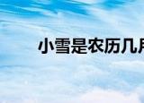 小雪是农历几月几日（小雪的简介）