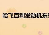 哈飞百利发动机东安DA4621A（哈飞百利）