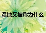 湿地又被称为什么（湿地还有其他的称呼吗）