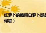 红萝卜的胳膊白萝卜腿是什么歌（红萝卜的胳膊白萝卜腿是何歌）