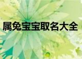 属兔宝宝取名大全（适合兔宝宝的吉祥好名）