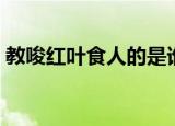 教唆红叶食人的是谁（该人物的由来是什么）