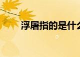 浮屠指的是什么（浮屠是什么意思）