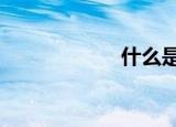  什么是 P2P 流媒体