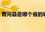 青河县是哪个省的城市（清河县属于哪个市）