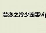 禁恋之冷少宠妻vip章节（禁恋之冷少宠妻）