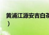 黄浦江源安吉白茶250g（黄浦江源安吉白茶）