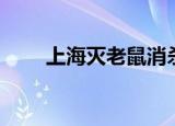 上海灭老鼠消杀公司（上海灭老鼠）