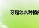牙是怎么种植的（种植牙齿的介绍）