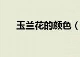 玉兰花的颜色（常见的玉兰花的颜色）