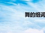舞的组词（舞怎么组词）