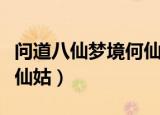 问道八仙梦境何仙姑唤心石（问道八仙梦境何仙姑）
