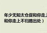 年少无知太仓促和你走上不归路是什么歌（年少无知太仓促和你走上不归路出处）