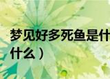梦见好多死鱼是什么意思（梦见好多死鱼寓意什么）