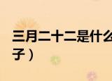 三月二十二是什么节日（3月22日属于什么日子）