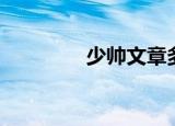 少帅文章多大（文章多大）