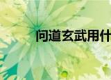 问道玄武用什么天书（问道玄武）