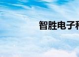 智胜电子科技（智胜终端）