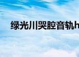 绿光川哭腔音轨h翻译（绿川光哭腔h轨）