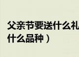 父亲节要送什么礼物好（父亲节要送的礼物有什么品种）