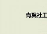 青翼社工网（青翼社工）