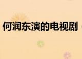 何润东演的电视剧（何润东演的电视剧列述）