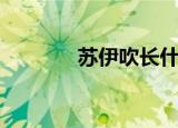 苏伊吹长什么样子（苏伊吹）