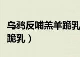 乌鸦反哺羔羊跪乳的意思（关于乌鸦反哺羔羊跪乳）