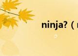 ninja?（ninja什么意思）