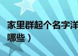 家里群起个名字洋气（家里群起个名字洋气有哪些）